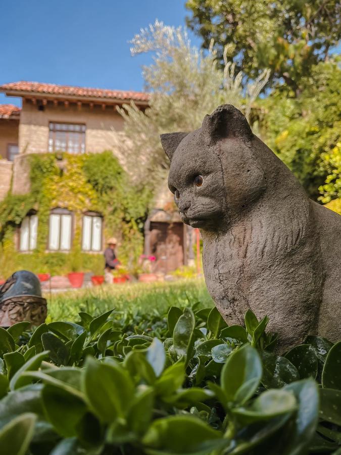 Bed and Breakfast Casa Liza San Miguel de Allende Exterior foto